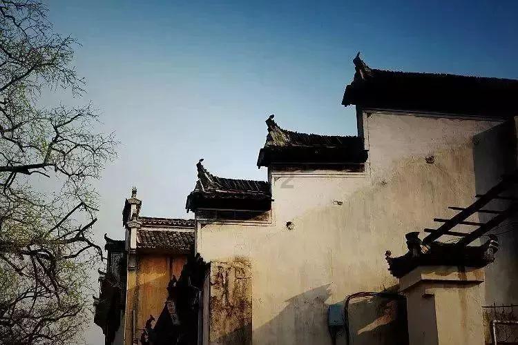 三小只僵尸的游戏时间6